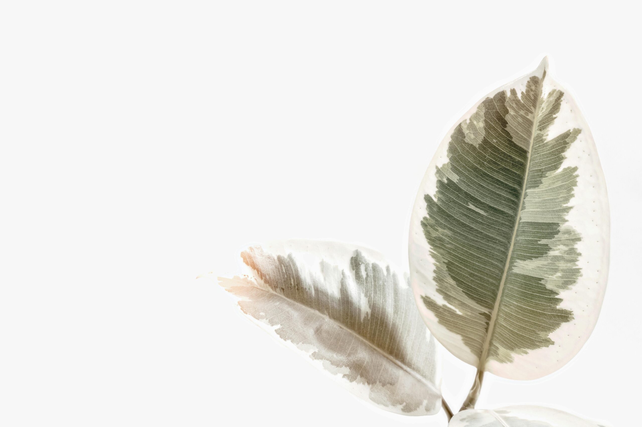 Using SQL in SFMC (With Examples) - Cirro Consulting