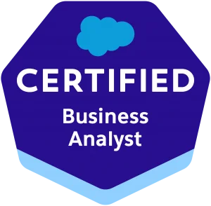 Salesforce Business Analyst Certification Exam 300x294 1